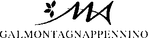 Livello 7
